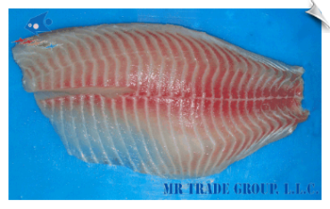 Tilapia Fillet, CO Treated, Shallow Skinned, Well Trimmed